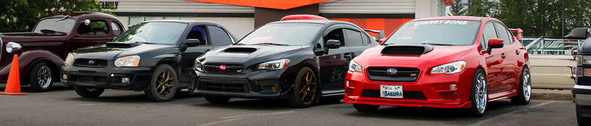 JOIN THE MIDNIGHT LEGACY